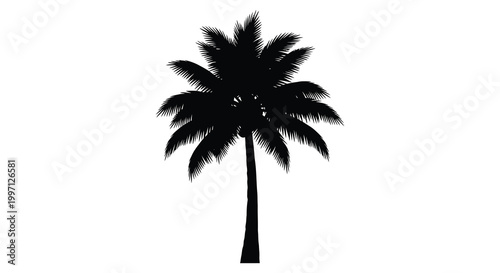 A striking black palm tree stands against a bright white background silhouette