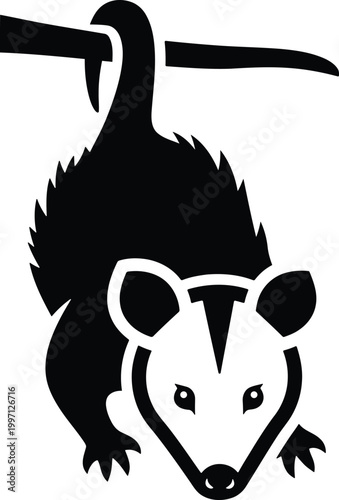 Black and white illustration of an opossum hanging upside down isolated on transparent background