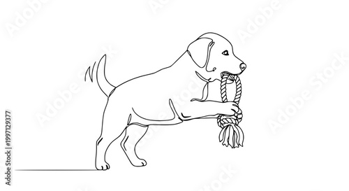 Happy puppy playing with rope toy, continuous line art, simple minimalist illustration