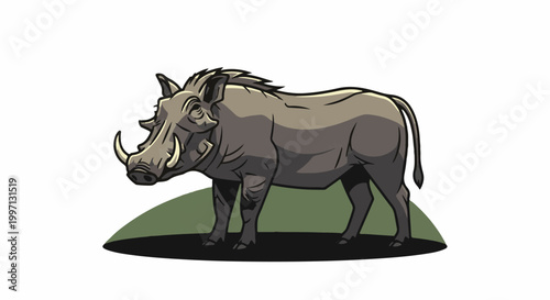 A grey warthog with large tusks stands on a grassy hill