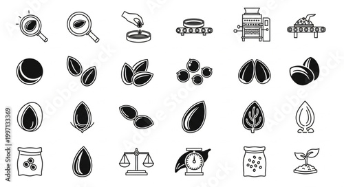 Collection of Hand Drawn Icons Representing Nuts and Seeds.