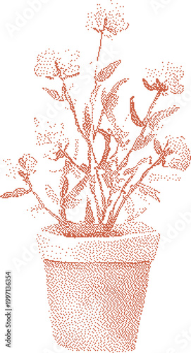 Potted flowering plant in terracotta container with stippled texture and delicate blossoms