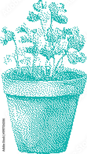 Potted Geranium Plant in a Terracotta Pot with Detailed Green Leaves and Stems