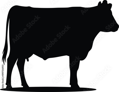 Black silhouette of domestic cow standing on farm, agriculture livestock and dairy cattle vector illustration