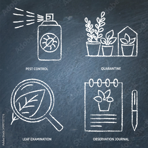Plant observation and care chalkboard icon set