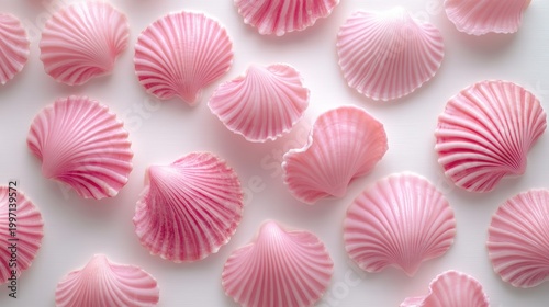 pink seashell on background