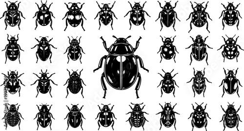 Canvas Print Insect Vector Illustration: Collection of Various Beetle Types in Black and Whit