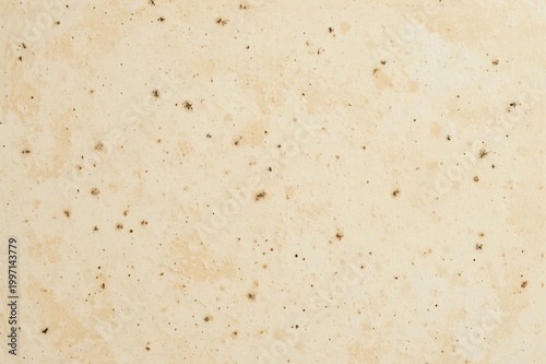 Light beige textured surface with small dark speckles, natural abstract background resembling stone or baked material.