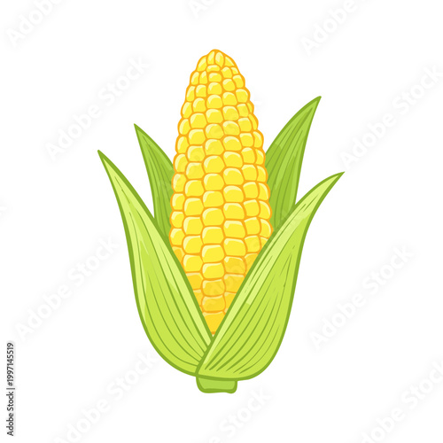 Bright Yellow Corn Cob with Green Leaves Vector Illustration Isolated on White