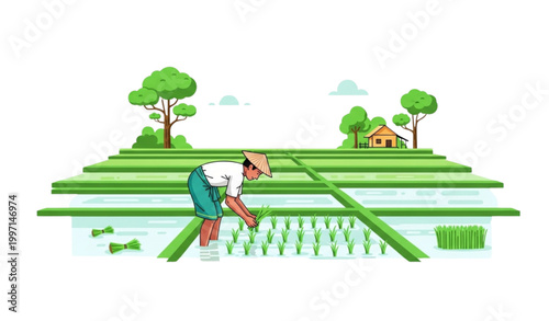 Farmer planting rice in rural Bangladesh village scene agriculture and culture vector illustration