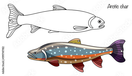 Arctic char