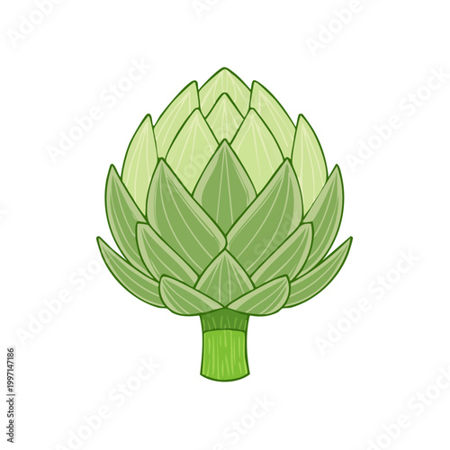 Fresh Green Artichoke Vegetable Illustration Healthy Food Ingredient