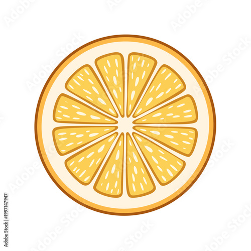 Fresh orange slice with segmented pulp and rind illustration isolated on white