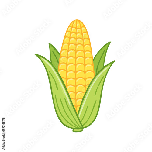 Vibrant cartoon corn on the cob with green husks, a staple grain illustration