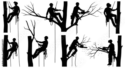 Arborist silhouettes cutting trees with chainsaws and climbing gear