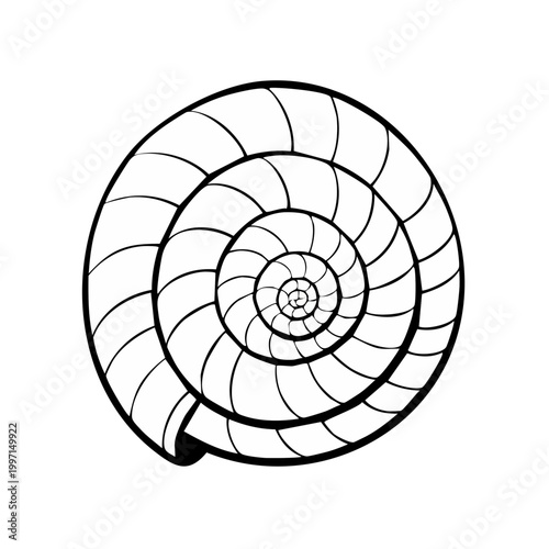 Symmetrical Nautilus Shell Spiral Pattern Abstract Design Outline