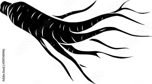 Silhouette Ginseng. Handdrawn Root Illustration. 