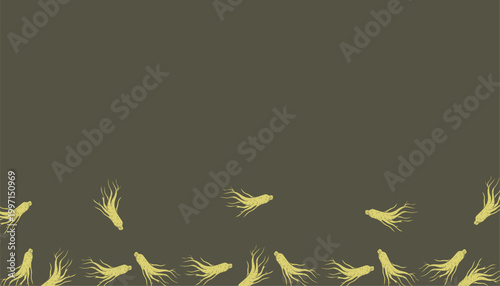 Ginseng Background. Handdrawn Root Illustration. Herbal Botanical Background. for Packaging Textile Design