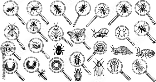 Fotografía Insect Observation: An Array of Bugs Under Magnifying Glasses in Hand-Drawn Styl