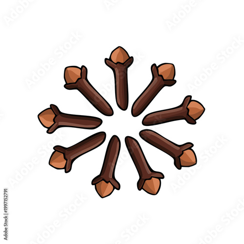 Flower shaped arrangement of dried whole cloves spice on white background