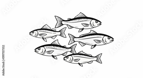 A school of five fish swim together in a circular formation