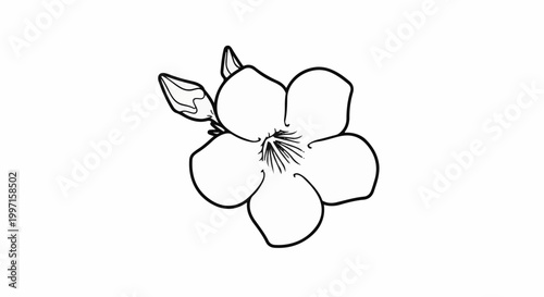 A simple black and white line drawing of a blooming flower with two buds