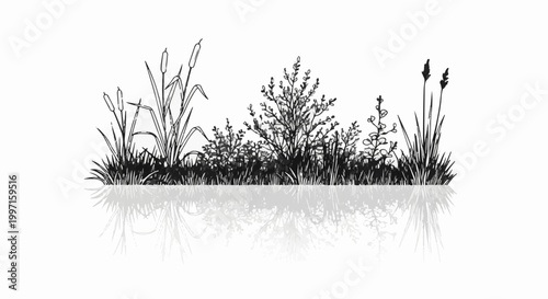 A monochrome sketch of wetland vegetation and its reflection in water
