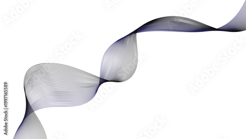 black and white satin ribbon