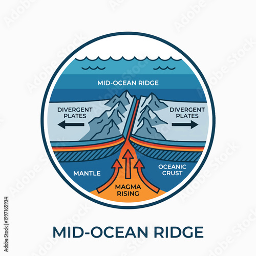 Illustration of a mid-ocean ridge showing divergent plates, rising magma, oceanic crust, and the mantle, forming new seafloor.