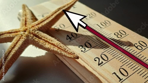 Summer line moves forward on thermometer, summer concept with starfish at sea on thermometer