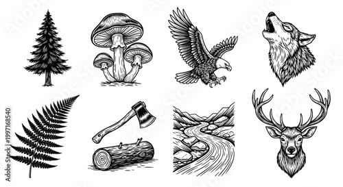 Vintage engraved woodland wildlife and forest elements illustration set