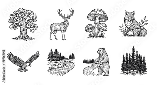 Vintage engraved woodland wildlife and forest elements illustration set