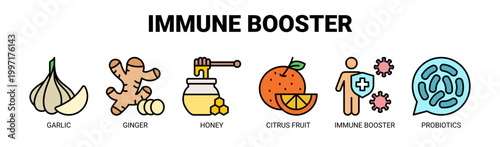 Immune Booster web banner icon vector illustration concept with icons of garlic, ginger, honey, citrus fruit, immune booster, and probiotics.