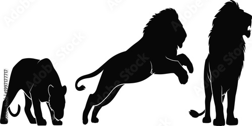 Black silhouette of lion family with male jumping and female hunting, african safari wildlife vector illustration