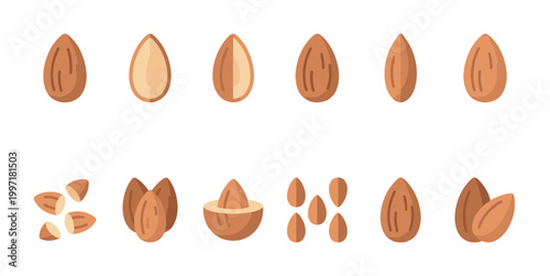 A collection of stylized almond illustrations showing whole, halved, and chopped almonds against a clean white background, perfect for healthy food concepts.