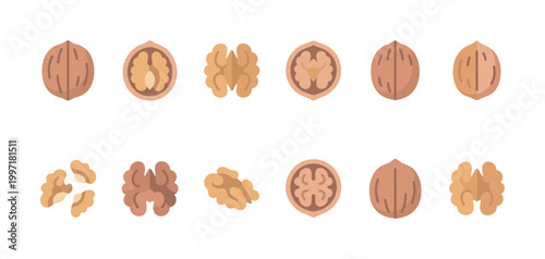 A collection of flat design walnut icons shows whole nuts, cracked shells, and kernel halves against a clean white background.
