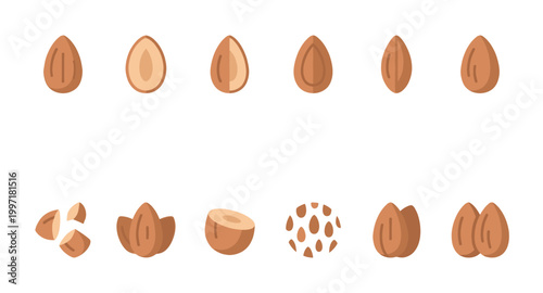 A collection of stylized flat icons showcasing whole almonds, halved almonds, chopped almonds, and a pattern of almonds on a clean white background, ideal for food and health themes.