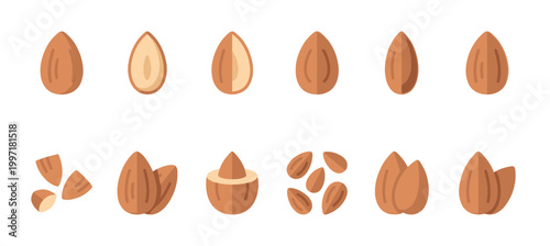 Collection of flat design almond illustrations in various states of whole, halved, chopped, and shelled, isolated on a clean white background for versatility.