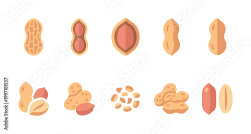 A collection of flat design illustrations featuring various peanut forms including whole shells, opened shells, and kernels on a white background.
