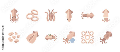 This collection of flat design icons features various squid illustrations and preparations, perfect for menu design, culinary websites, and seafood-related branding.
