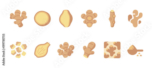 A collection of flat design icons representing various forms of ginger root including whole pieces, sliced, chopped, and powdered spice.