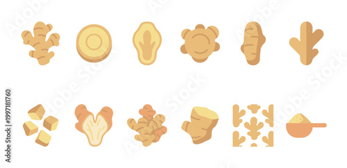 A flat design illustration collection of ginger root in various forms, including whole roots, slices, cubes, and powder, on a clean white background.