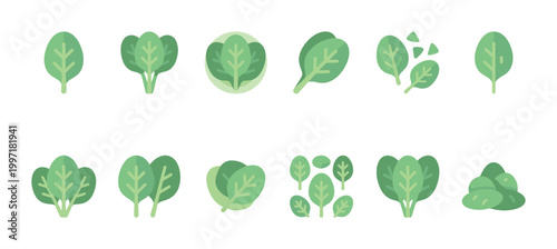 A collection of various flat design icons featuring green spinach leaves in different arrangements and quantities against a white background.