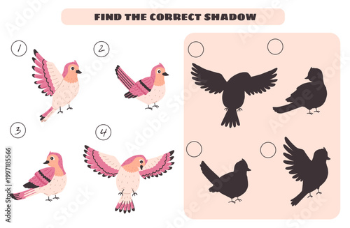 Find correct shadow game for kids with cute birds