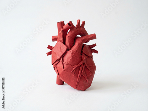 Red Origami Anatomical Heart Sculpture Made From Paper — Handmade Paper Heart Concept for Love and Medical Art