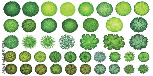 A diverse collection of green trees and bushes is presented from an aerial top-down perspective, showcasing various shapes and shades for architectural landscaping design.