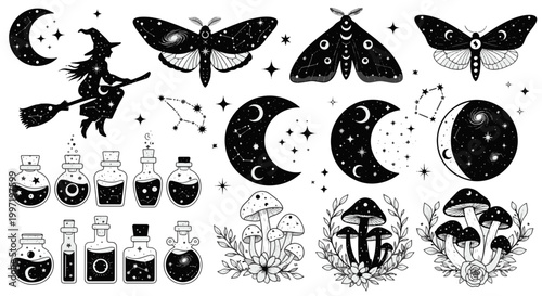 Witch Flying on Broom with Moon and Stars Magical Potions and Mushrooms