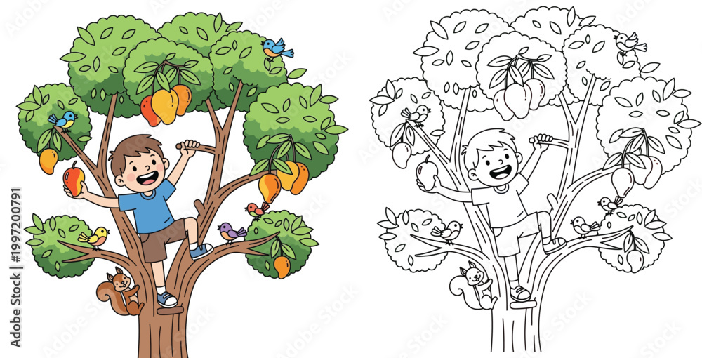 Fototapeta premium Cute boy climbing mango tree to pick fruit, color illustration and black and white coloring page outline for kids