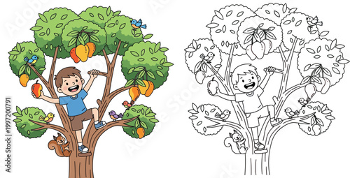 Cute boy climbing mango tree to pick fruit, color illustration and black and white coloring page outline for kids
