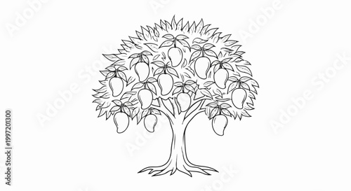 A stylized line drawing of a mature tree laden with ripe fruit